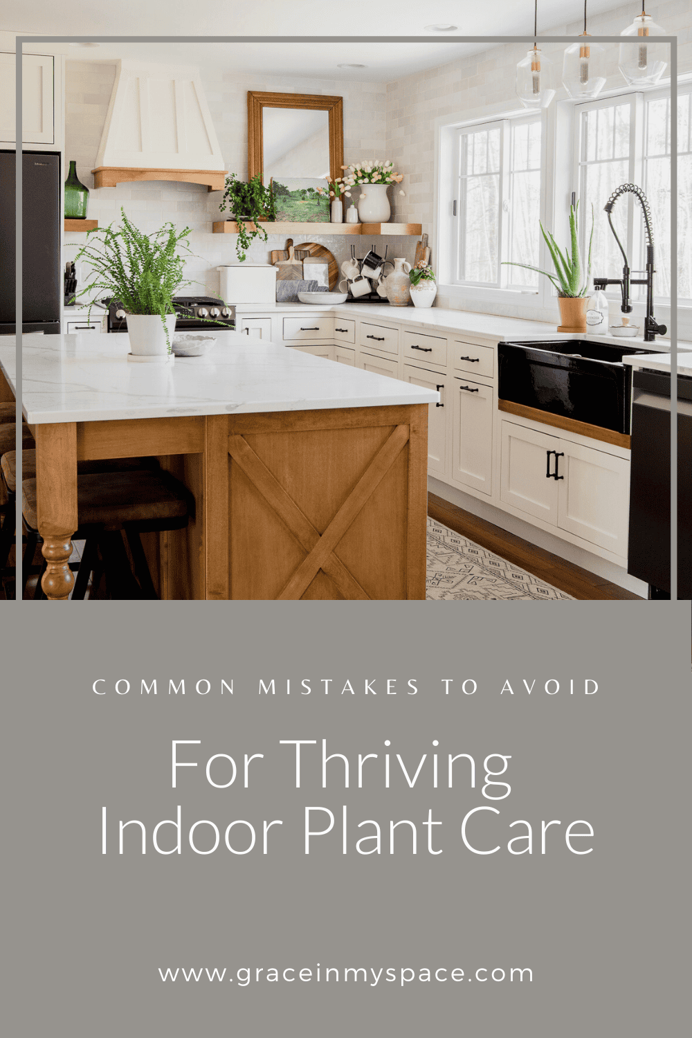 Common Mistakes to Avoid for Indoor Plant Care