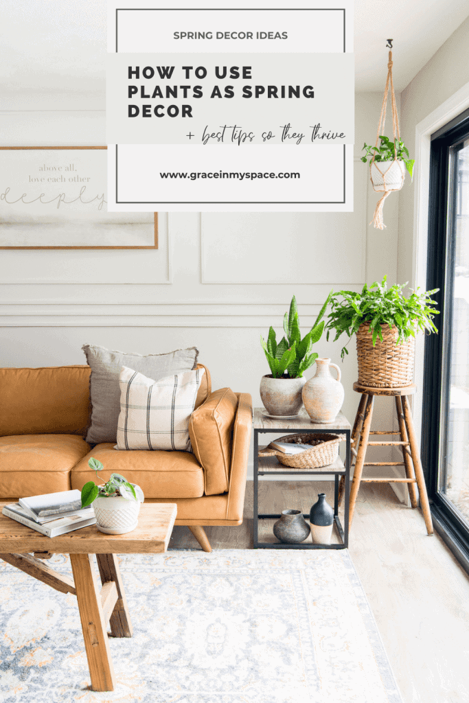 How to Use Plants as Decor to Decorate for Spring