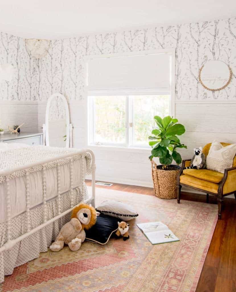 Small fiddle leaf fig in girl's room.