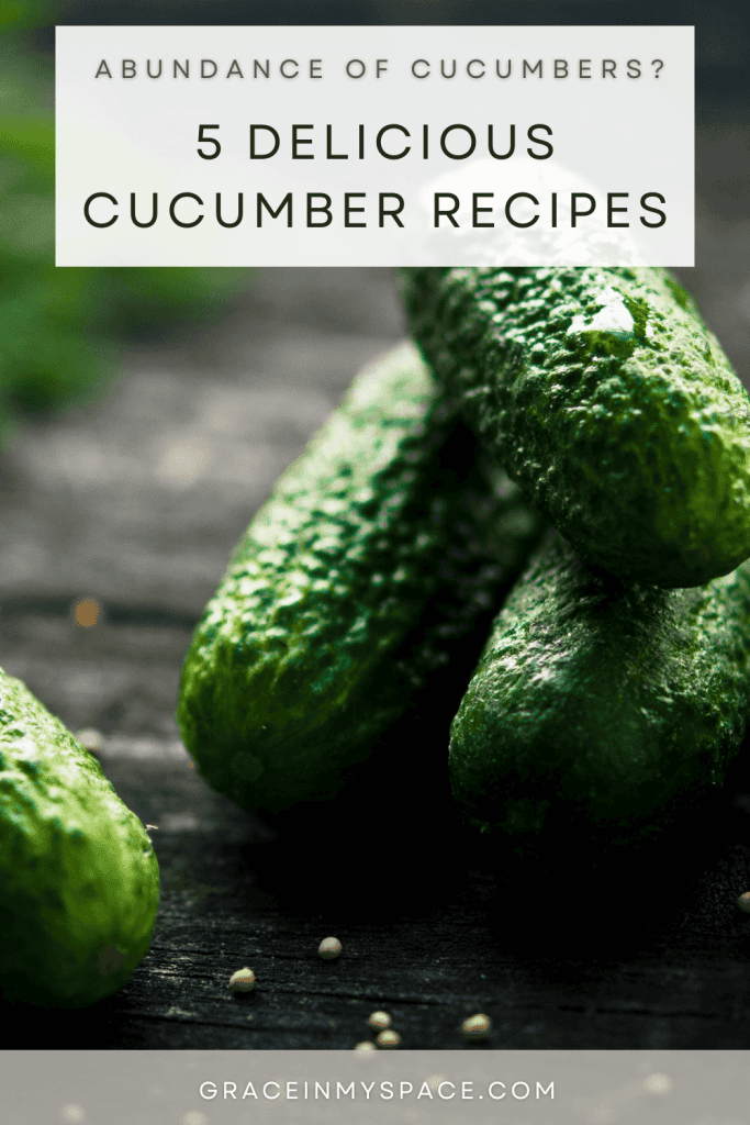 Wondering What To Do With a Lot of Cucumbers? 5 Recipe Ideas