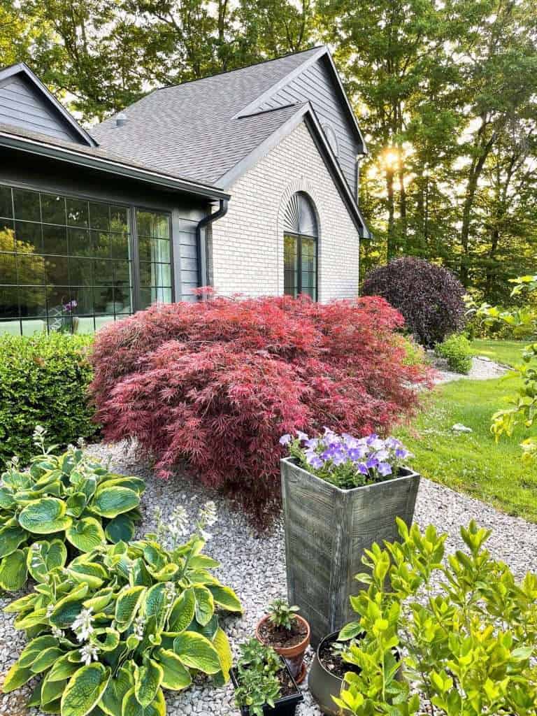 Low maintenance flower beds in the front yard.