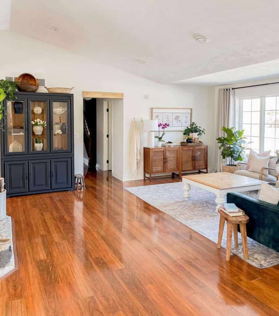 Living room with black cabinet