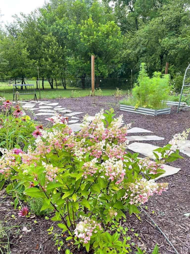 Garden with flagstone path and mulch.