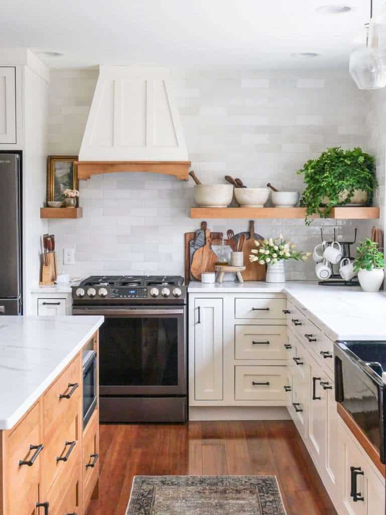 Ficus repens on a kitchen shelf.