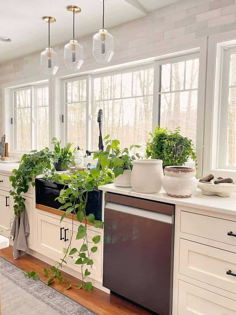 Watering indoor plants in a sink