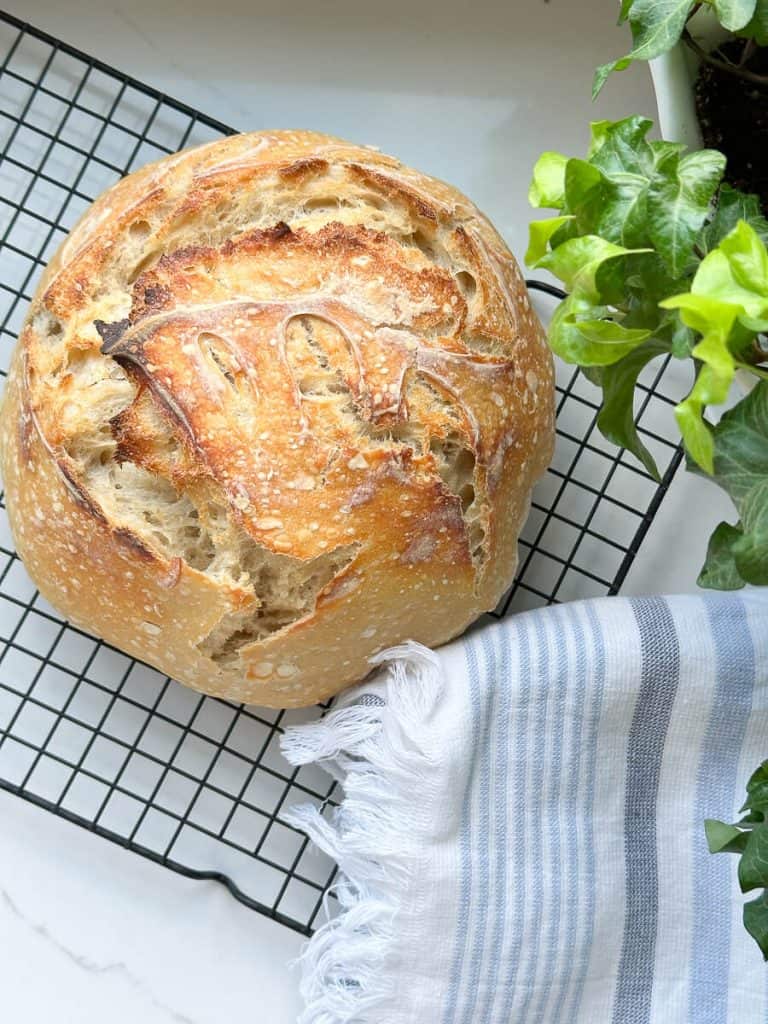 Loaf of sourdough bread on a counter.