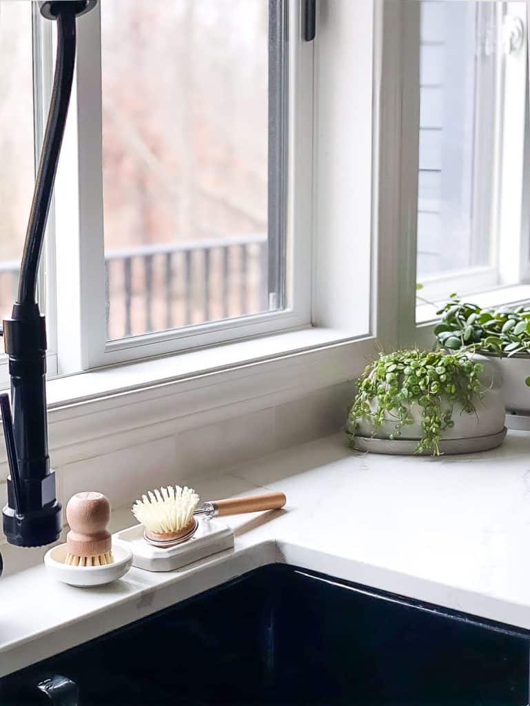 Bunny planter in a kitchen.