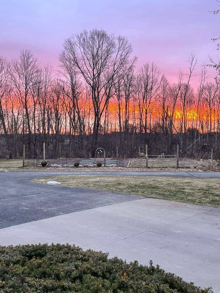 Sunrise through the trees