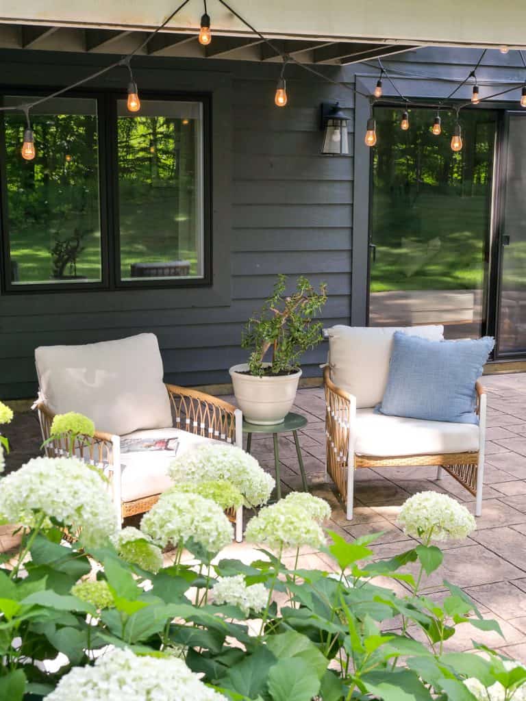 Outdoor patio area with hydrangeas